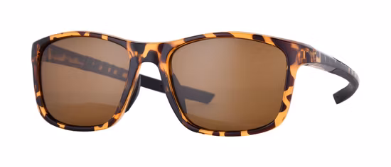 Échantillon gratuit lunettes de soleil les plus vendues au Brésil OEM unisexe tortue Logo personnalisé UV400 Tac lunettes de soleil polarisées